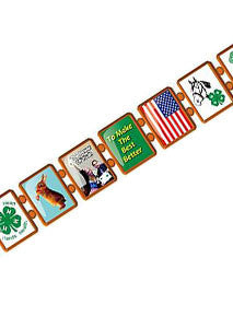 4H Clubs